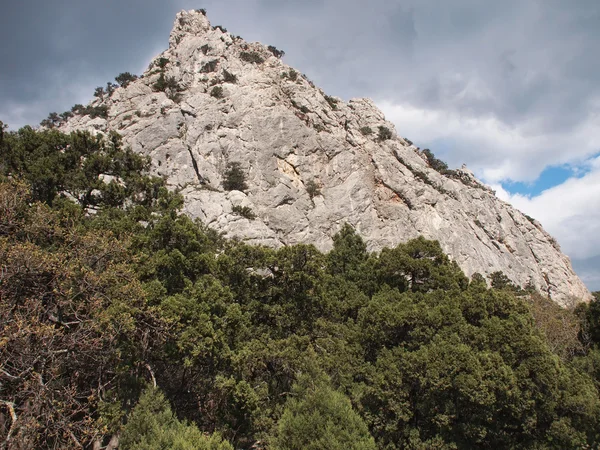 Träden, himlen och rock — Stockfoto