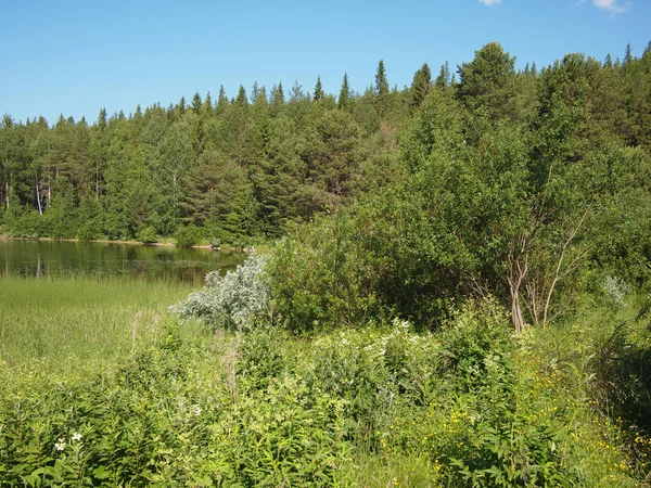 Ribera del lago — Foto de Stock