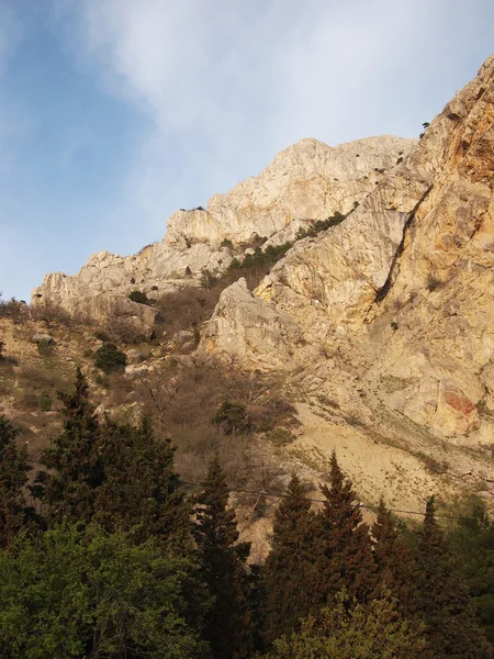 Ağaçlar, gökyüzü ve kaya — Stok fotoğraf