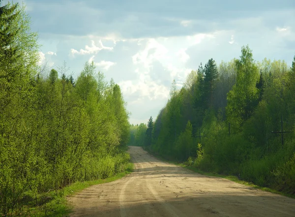 Route with sky and trees — Stock Photo, Image