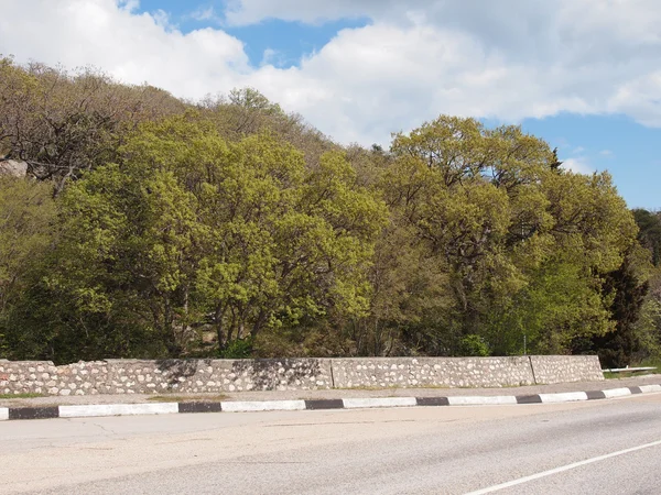 Strada, cielo e alberi — Foto Stock