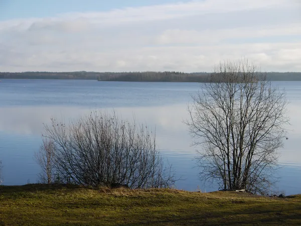 Coast of lake — Stock Photo, Image