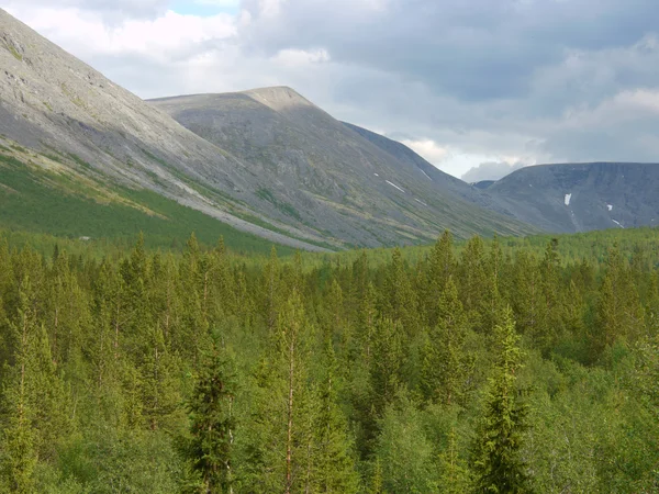 Großer Berg im Norden Russlands — Stockfoto