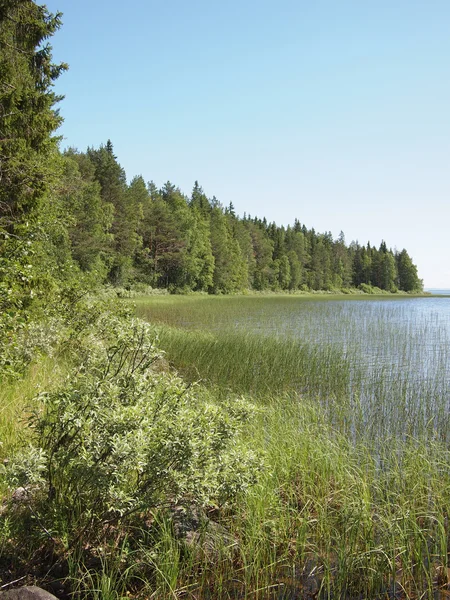 Plaża nad jeziorem — Zdjęcie stockowe