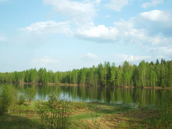 Côte de la rivière au printemps — Photo