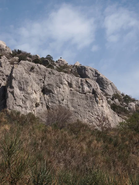 Träden, himlen och rock — Stockfoto