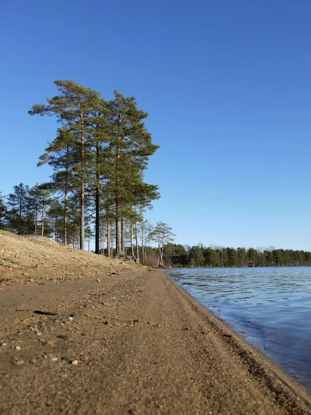 Узбережжя озера — стокове фото