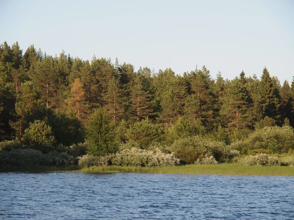 Beach lake — Stock Photo, Image