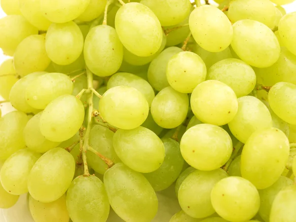 Grapes — Stock Photo, Image