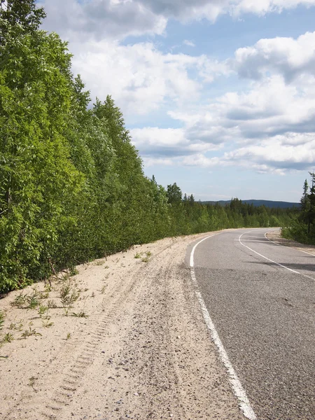 Road in beautiful green forest — Stock Photo, Image