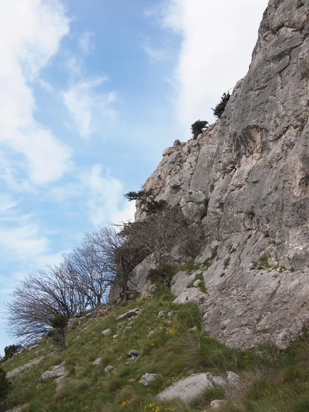 Arbres, ciel et rochers — Photo