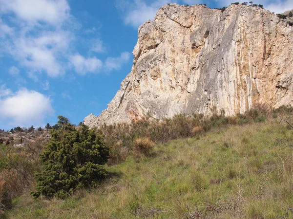 Árbol, cielo y roca —  Fotos de Stock