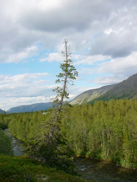 Grande montagna nel nord della Russia — Foto Stock