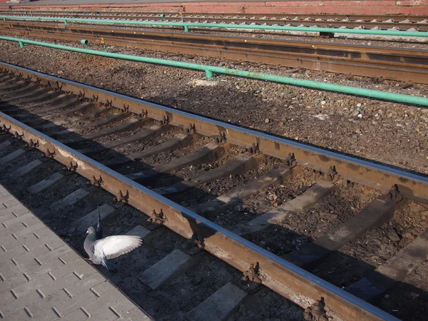 Caminho de ferro — Fotografia de Stock