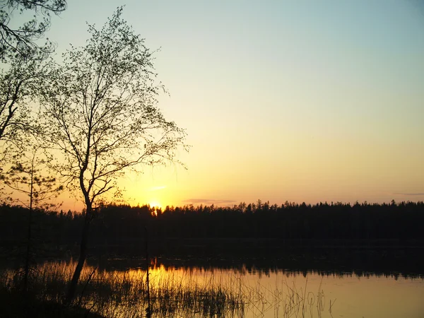 Pokles na jezeře v lese. Karelia, Rusko — Stock fotografie