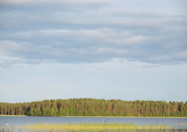 Bellissimo lago — Foto Stock