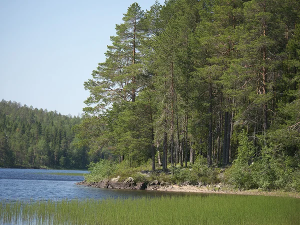 Beach lake — Stockfoto