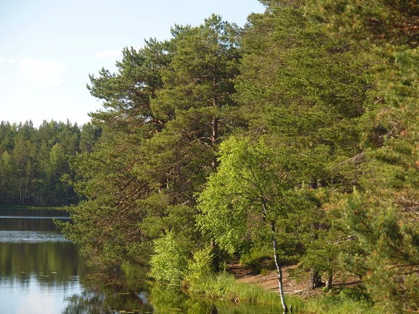 Coast of lake — Stock Photo, Image