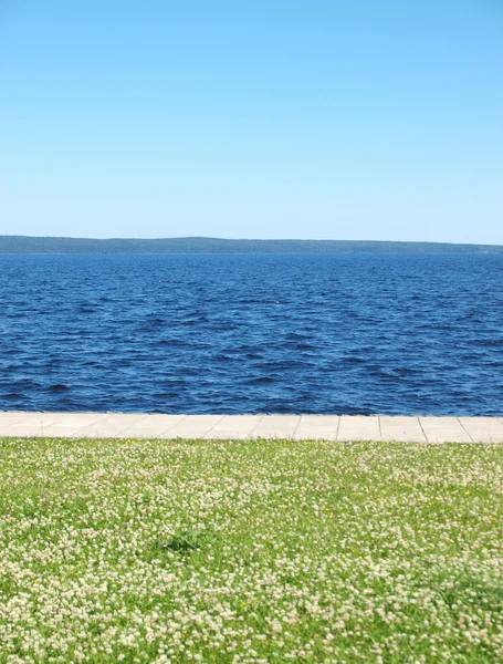 Lago, o céu e a grama — Fotografia de Stock