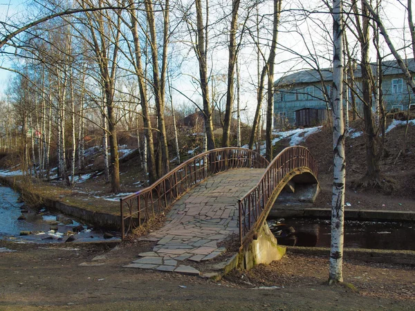 Die Brücke im Park — Stockfoto