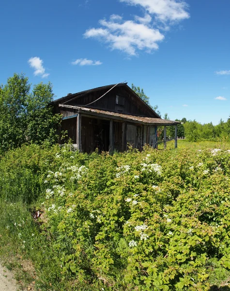 Dorp zomer — Stockfoto