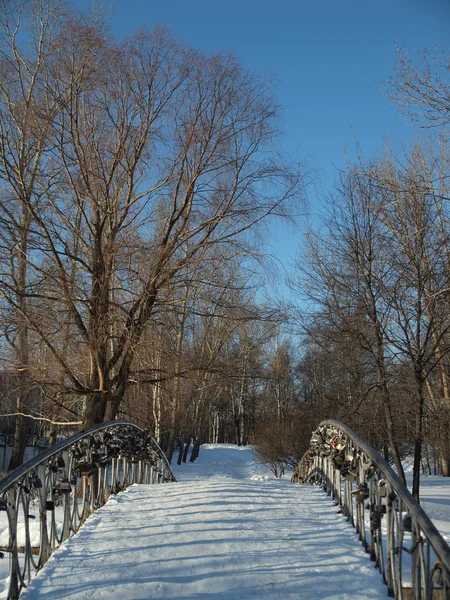 Мост в парке . — стоковое фото
