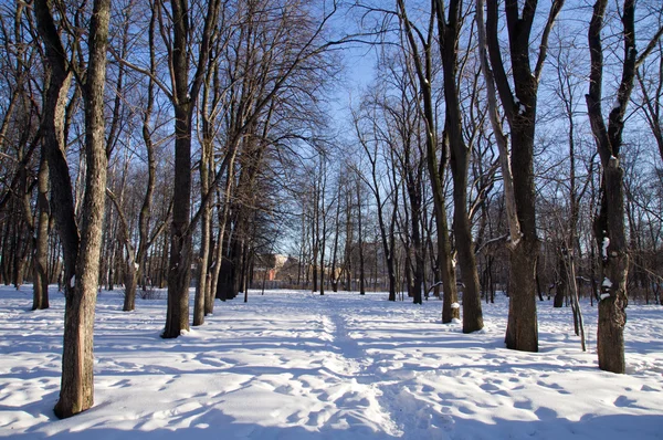 Paesaggio invernale — Foto Stock