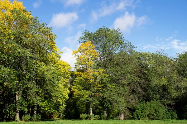 Park jesienią — Zdjęcie stockowe