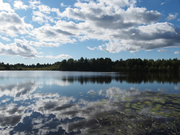 Lago in estate — Foto Stock