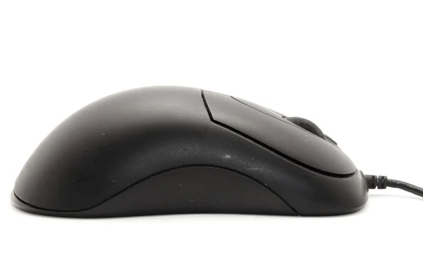 Black computer mouse on white background — Stock Photo, Image