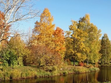 Park