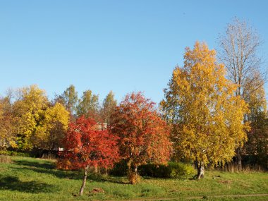 Park