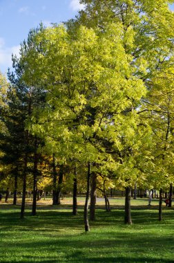 Sonbaharda park et.