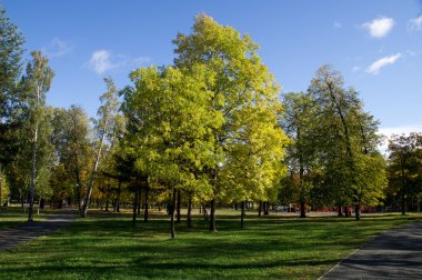 Sonbaharda park et.