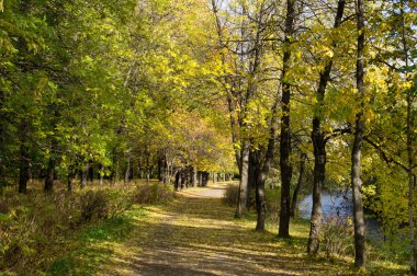 Sonbaharda park et.