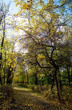 Sonbaharda park et.