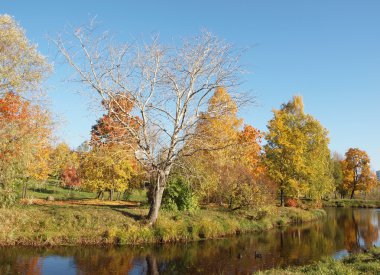 Park