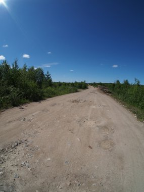 orman yolu