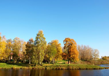Park