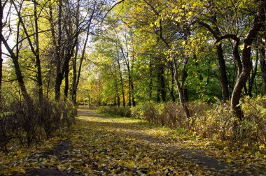 Sonbaharda park et.