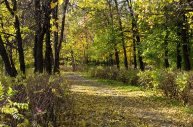 Sonbaharda park et.