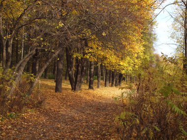 Park
