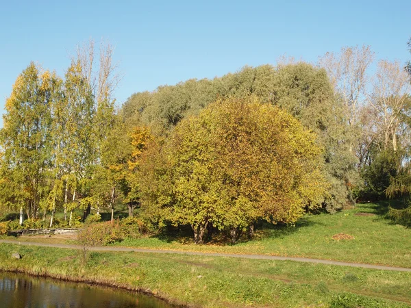 Parque — Fotografia de Stock