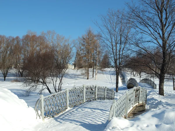 Il ponte nel parco — Foto Stock