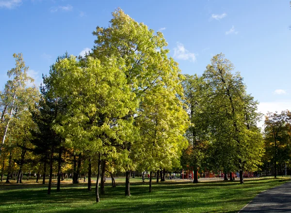 Park na podzim — Stock fotografie