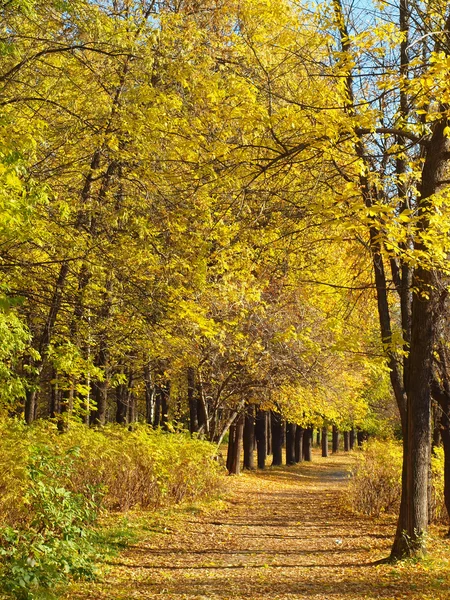 Parque — Foto de Stock