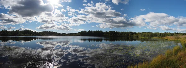 Lago in estate — Foto Stock