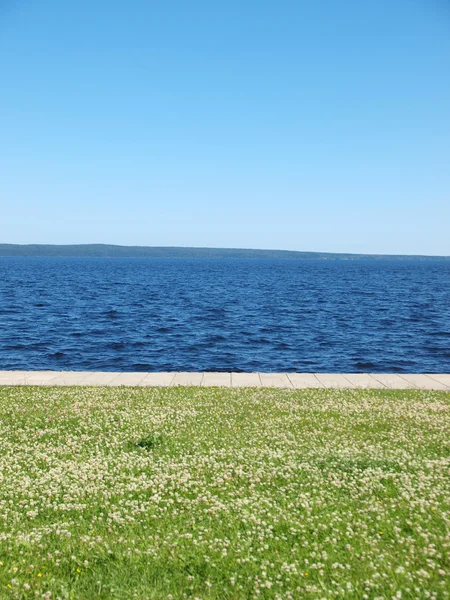 Lago, o céu e a grama — Fotografia de Stock