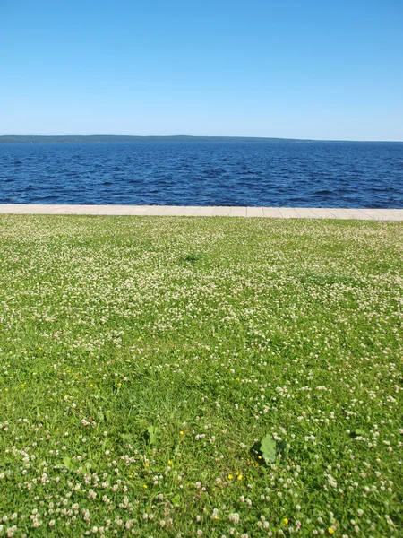 Sjön, himlen och gräset — Stockfoto