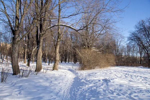 Paesaggio invernale — Foto Stock